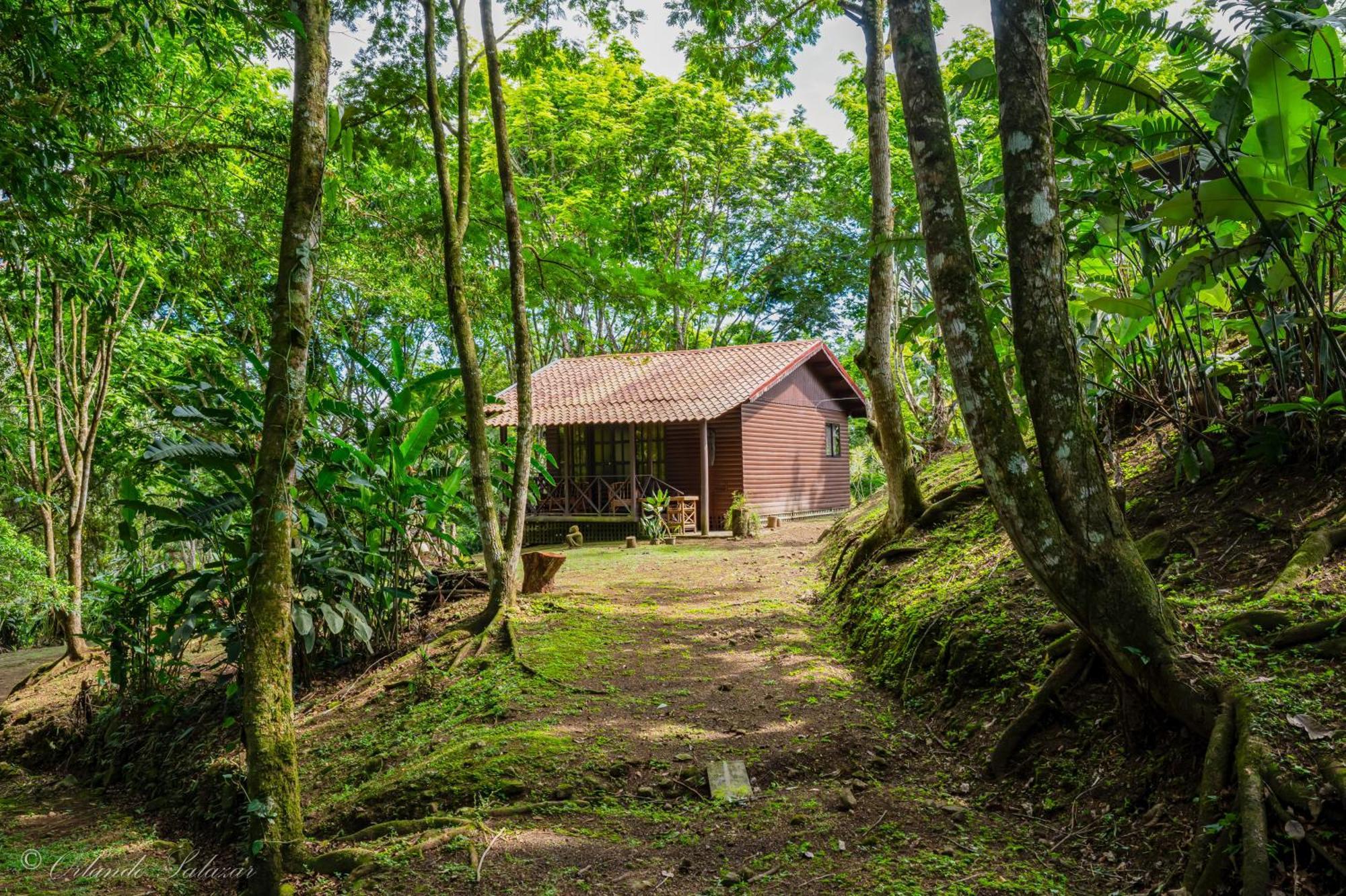 Hospedaje La Naciente Turrialba Bagian luar foto