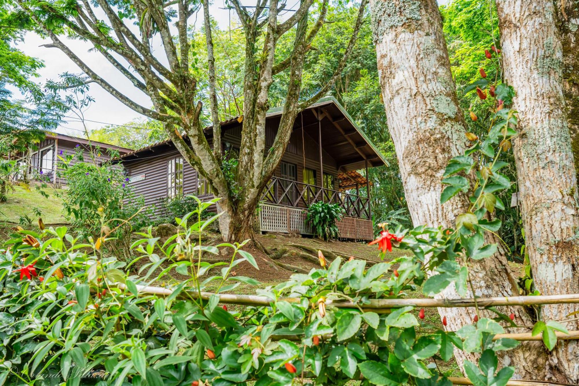 Hospedaje La Naciente Turrialba Bagian luar foto