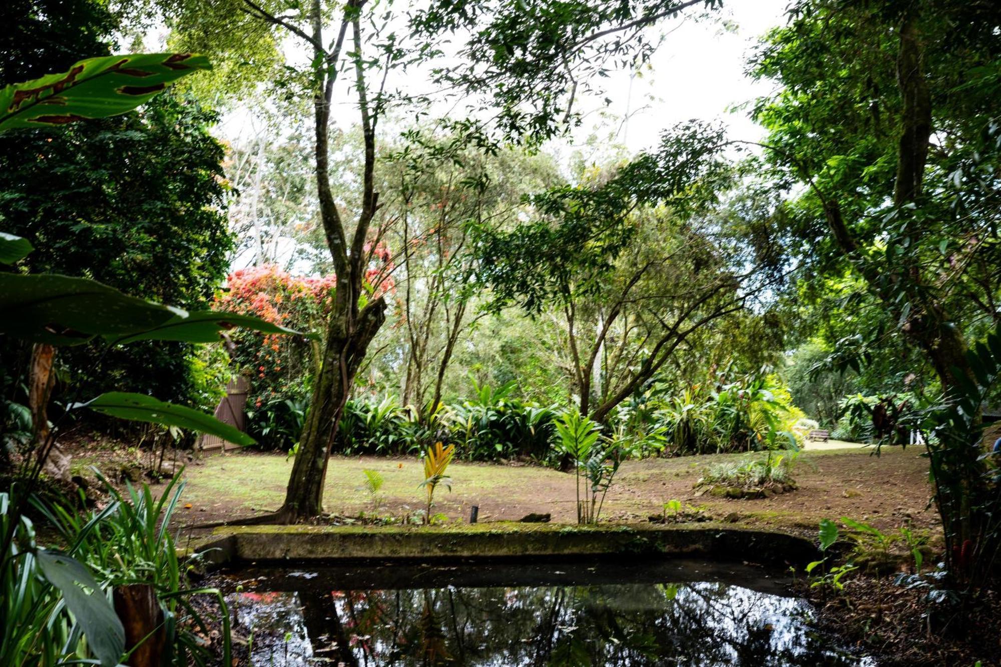 Hospedaje La Naciente Turrialba Bagian luar foto