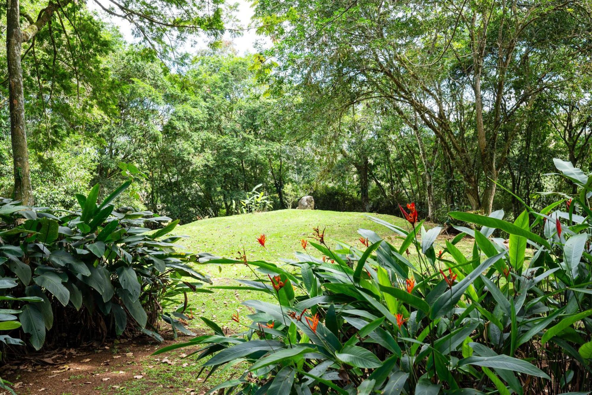 Hospedaje La Naciente Turrialba Bagian luar foto