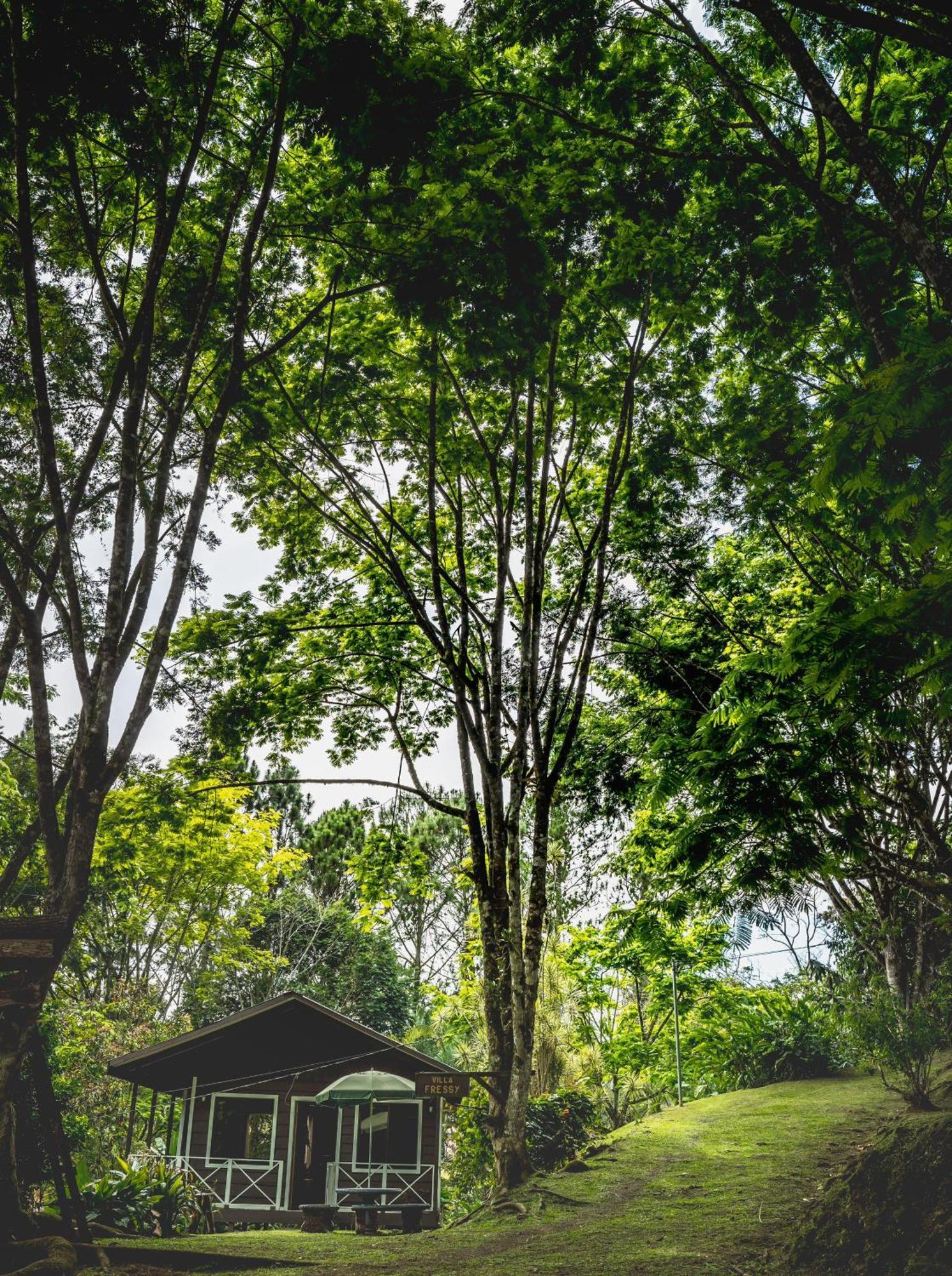 Hospedaje La Naciente Turrialba Bagian luar foto