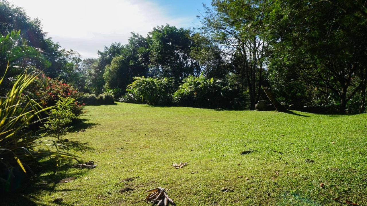 Hospedaje La Naciente Turrialba Bagian luar foto