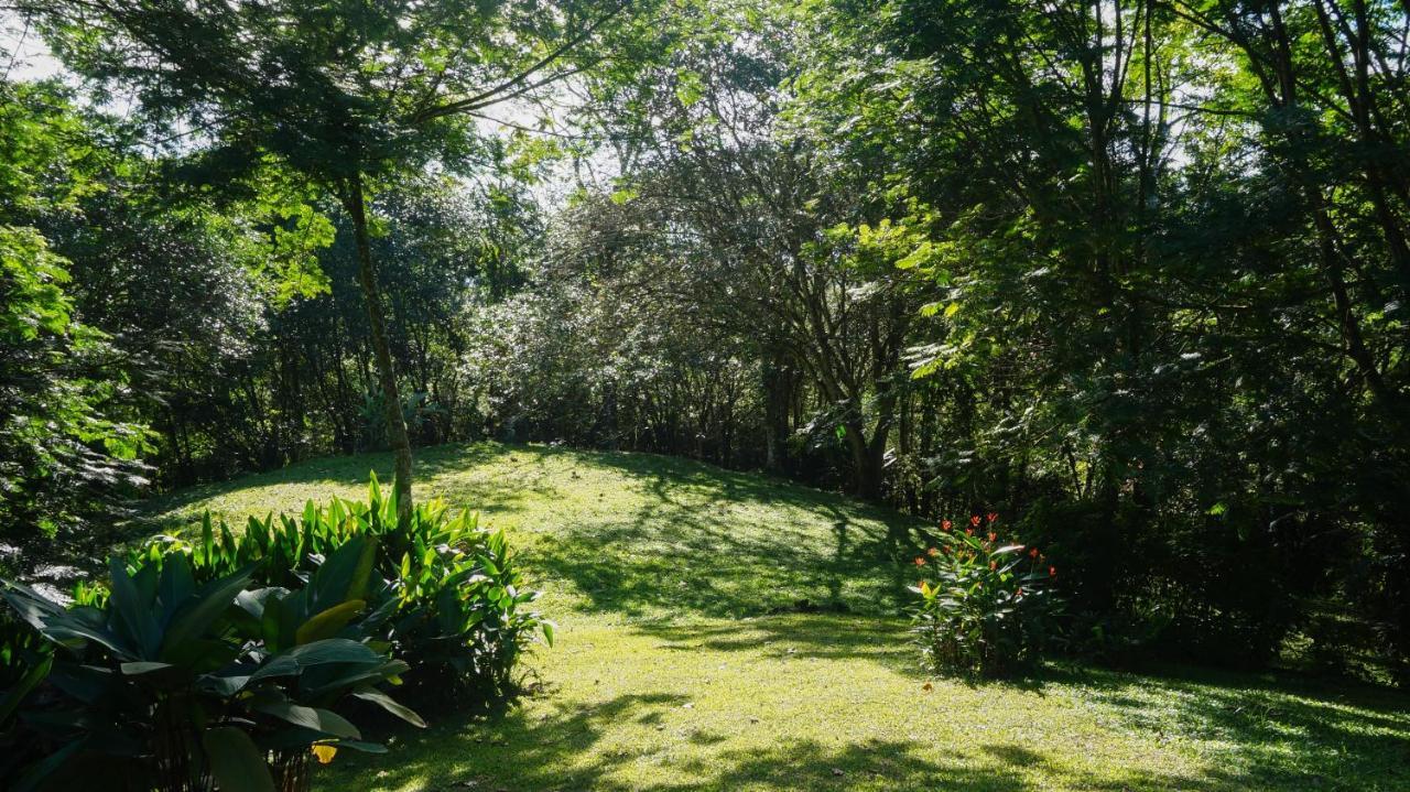 Hospedaje La Naciente Turrialba Bagian luar foto
